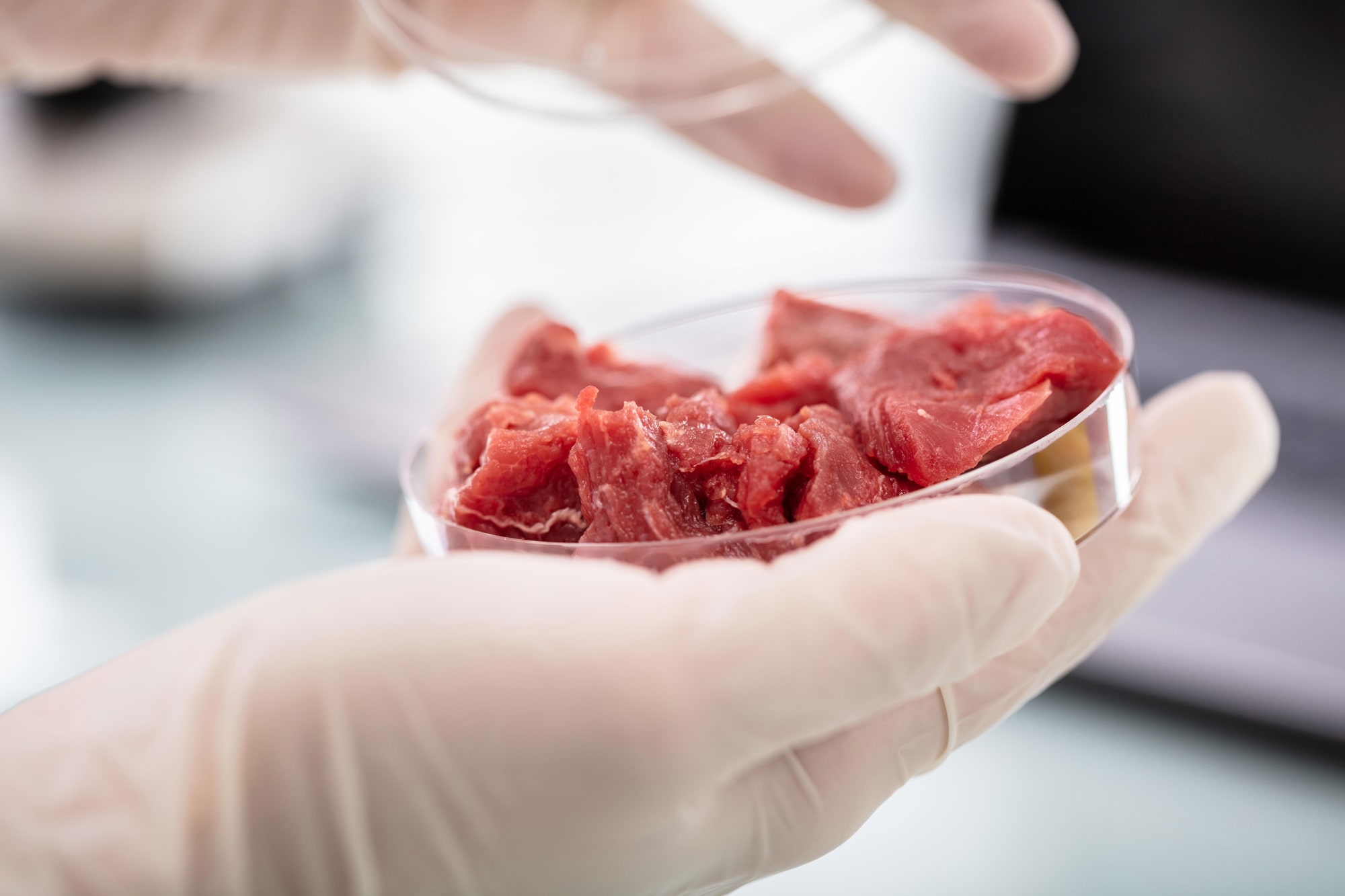Viande in-vitro :  une alimentation souhaitable ?