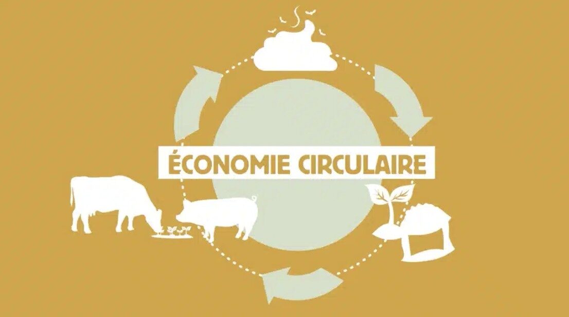 A t-on le droit d’élever et d’abattre des animaux pour produire notre alimentation ?