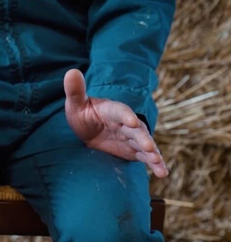 Violence animaliste : des éleveurs victimes d'intrusion témoignent